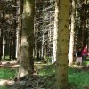 22_Orientační běh Dolní Moravice